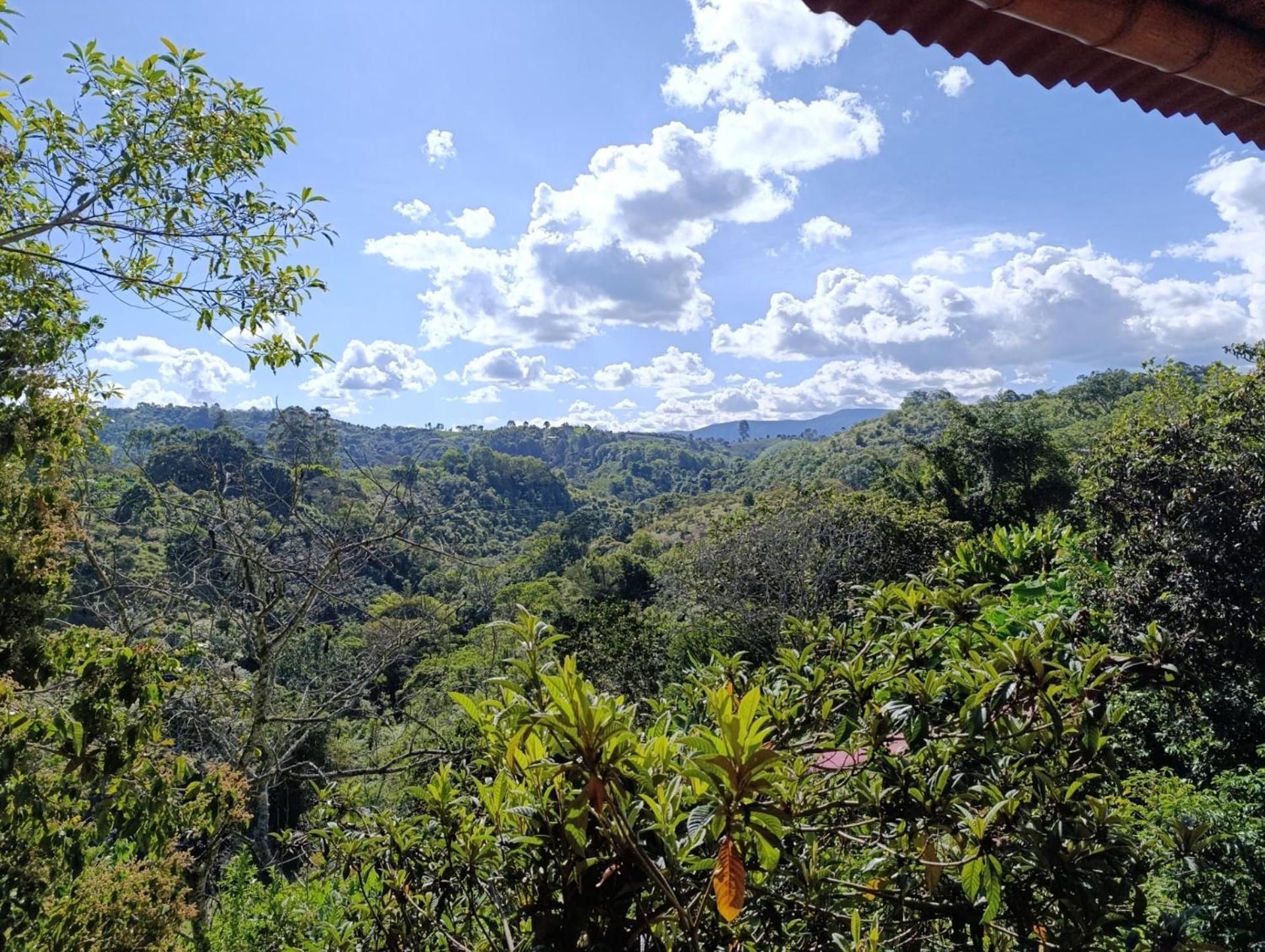 Вілла Casa Rural Finca Cometa Сан-Аугустін Екстер'єр фото