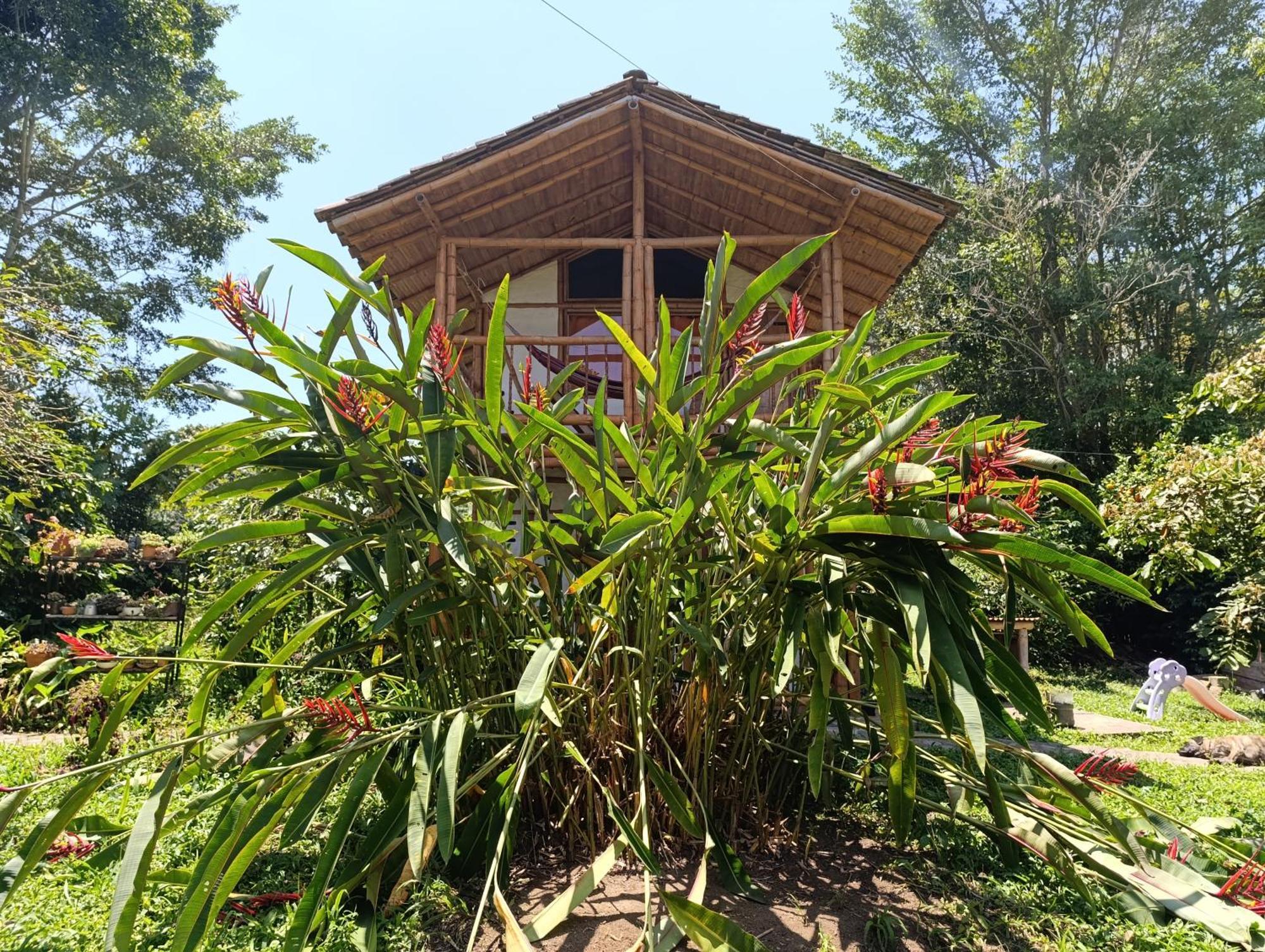 Вілла Casa Rural Finca Cometa Сан-Аугустін Екстер'єр фото