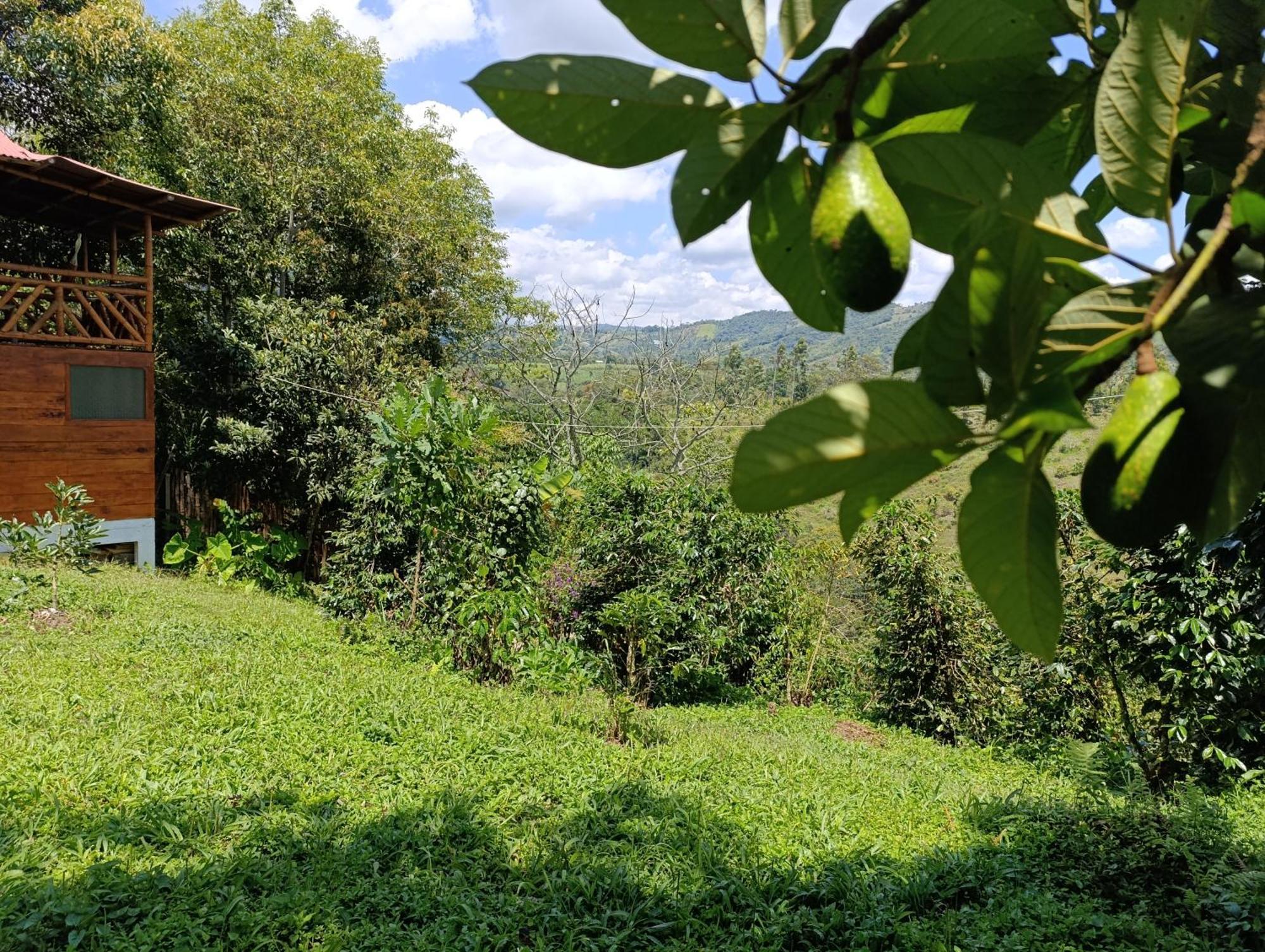 Casa Entera Finca Cometa Сан-Агустін Екстер'єр фото
